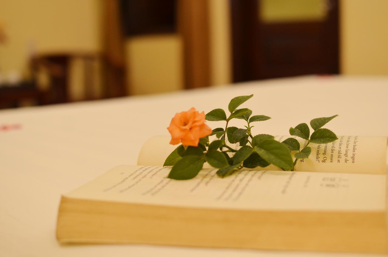 Panda Garden Homestay Hội An Ngoại thất bức ảnh