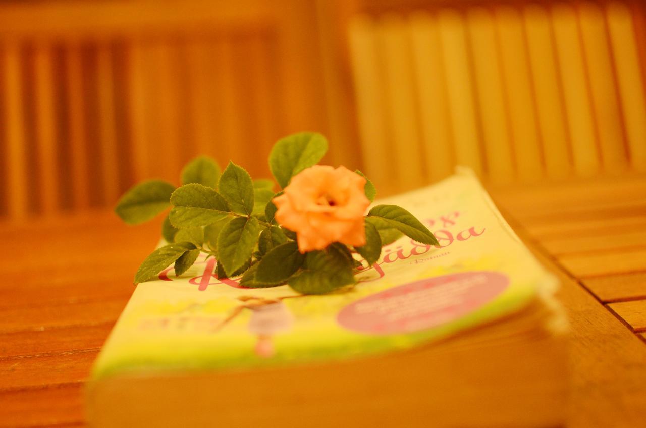 Panda Garden Homestay Hội An Ngoại thất bức ảnh