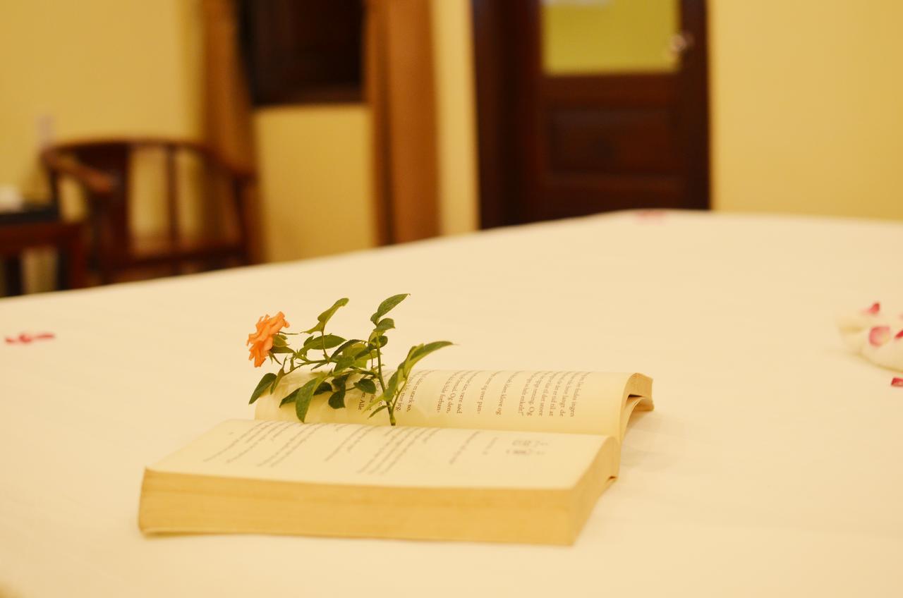 Panda Garden Homestay Hội An Ngoại thất bức ảnh